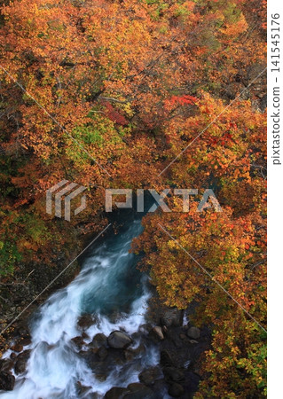 Hachimantai of autumn leaves Hachimantai of autumn leaves 141545176