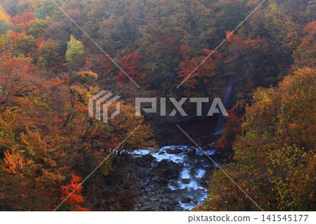 Hachimantai of autumn leaves 141545177