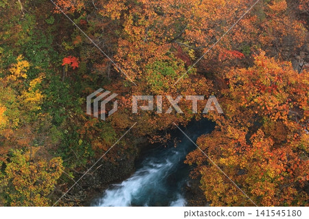 Hachimantai of autumn leaves Hachimantai of autumn leaves 141545180
