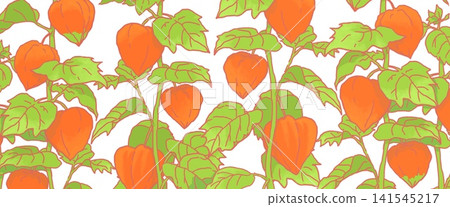 Horizontal orange Chinese lantern plant background with green leaves Horizontal orange Chinese lantern plant background with green leaves 141545217