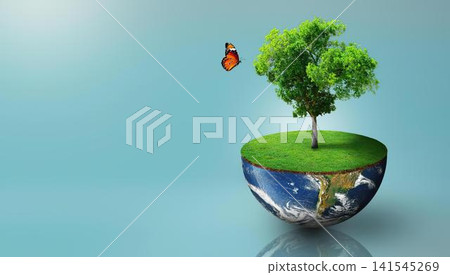 Floating island with green tree and butterfly in the sky Floating island with green tree and butterfly in the sky 141545269