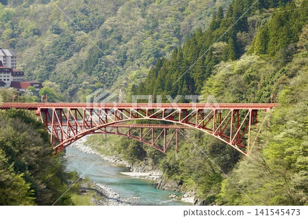 一座橫跨峽谷的紅色鐵橋 一座橫跨峽谷的紅色鐵橋 141545473