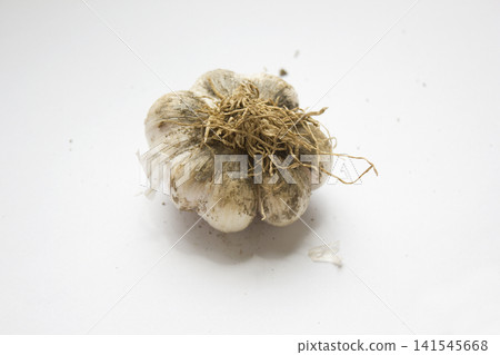 Garlic on a white background. 141545668