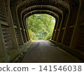 由橋樑組成的隧道通往綠地 141546038