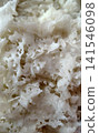 Macro view of crispy lace texture of traditional Sri Lankan appam rice pancake. Macro view of crispy lace texture of traditional Sri Lankan appam rice pancake. 141546098