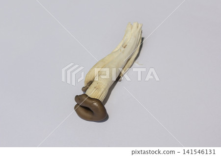 It is an oyster mushroom placed on a white background. It is an oyster mushroom placed on a white background. 141546131