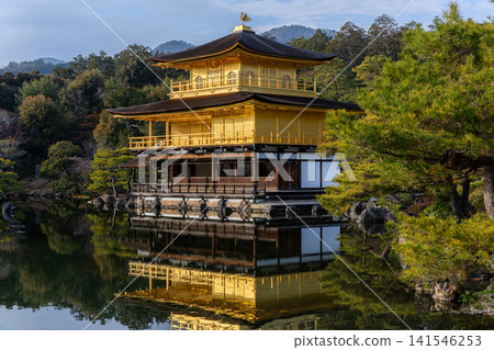 金閣寺 金閣寺 141546253
