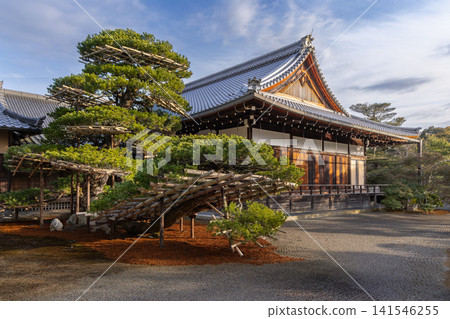 金閣寺 金閣寺 141546255