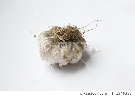 Garlic on a white background. 141546353