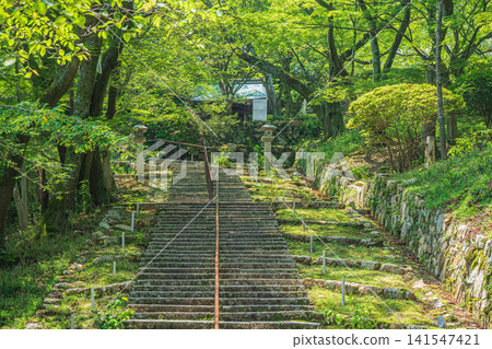 滋賀縣大津市三井寺(長良山圓成寺)觀音堂的石階 滋賀縣大津市三井寺(長良山圓成寺)觀音堂的石階 141547421