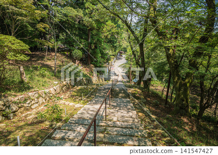滋賀縣大津市三井寺（長良山圓成寺）觀音堂的石階 141547427
