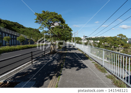 The sidewalk and road are bathed in dappled sunlight filtering through the trees on a clear, sunny day. 141548121