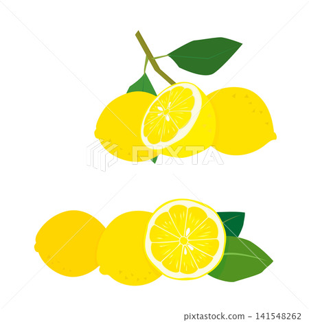 新鮮檸檬插畫 141548262