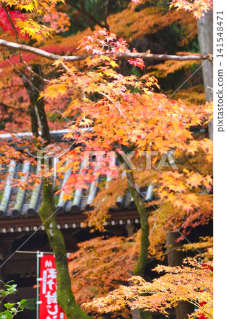 京都今熊野觀音寺：美麗的紅葉（京都府京都市東山區） 141548471