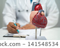 Cardiovascular disease CVD, doctor with heart human model anatomy for treatment patient in hospital. 141548534