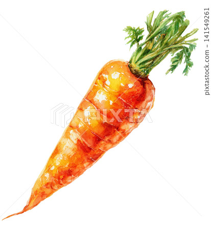 carrot carrot 141549261