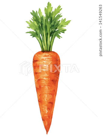 carrot carrot 141549263