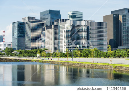 View of the many pine trees around the Kokyo Gaien gardens, with the Marunouchi Modern office building in the background in Chiyoda, Tokyo, Japan. View of the many pine trees around the Kokyo Gaien gardens, with the Marunouchi Modern office building in the background in Chiyoda, Tokyo, Japan. 141549866