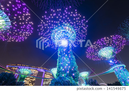 Low-angle view of the Supertree Grove at Gardens by the Bay in Singapore, there is an exhilarating light and musical show at night. Low-angle view of the Supertree Grove at Gardens by the Bay in Singapore, there is an exhilarating light and musical show at night. 141549875