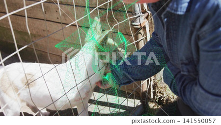 Feeding denim-jacketed woman reaching through wire fence at farm pen, petting white goat Feeding denim-jacketed woman reaching through wire fence at farm pen, petting white goat 141550057