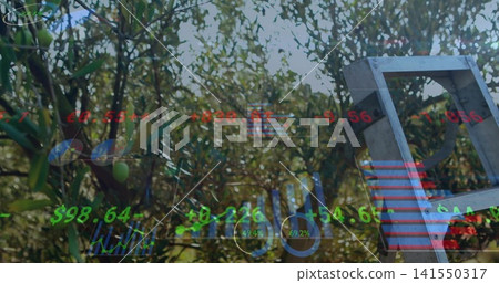 Displaying olive branches bearing green olives in orchard metal ladder leaning with overlaid HUD Displaying olive branches bearing green olives in orchard metal ladder leaning with overlaid HUD 141550317