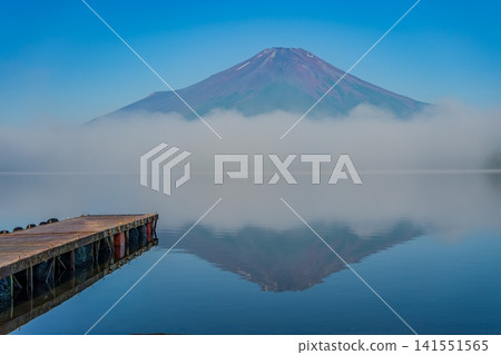 Mt. Fuji in the summer 141551565