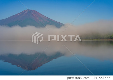 富士山在夏天 富士山在夏天 141551566