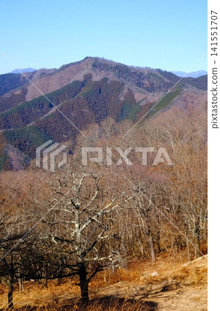 【神奈川縣】從陣馬高原山頂眺望聖鬥岳 【神奈川縣】從陣馬高原山頂眺望聖鬥岳 141551707