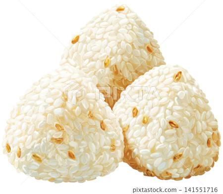 Rice ball 141551716