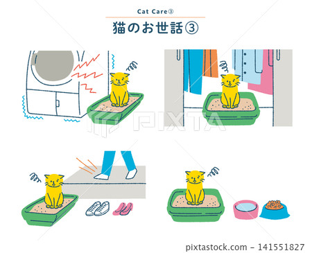 一隻貓因為貓砂盆放置在不合適的地方而感到不高興——一套與貓砂盆相關的材料。 一隻貓因為貓砂盆放置在不合適的地方而感到不高興——一套與貓砂盆相關的材料。 141551827