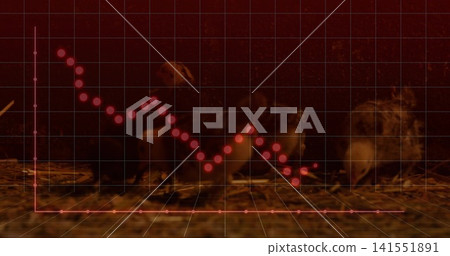 Resting newly hatched chicks clustering in straw nest under dim red overlay, with red node graph Resting newly hatched chicks clustering in straw nest under dim red overlay, with red node graph 141551891