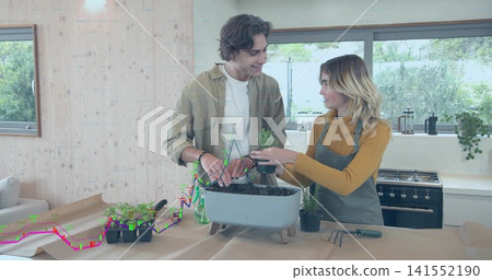 Planting couple in mustard knit potting seedlings in home kitchen using planter tools and bottle Planting couple in mustard knit potting seedlings in home kitchen using planter tools and bottle 141552190