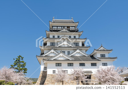 春季的福山城天守閣,廣島縣福山市 春季的福山城天守閣,廣島縣福山市 141552513