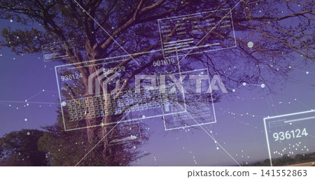 Displaying large deciduous tree projecting UI panels across dusk park horizon, numeric codes, nodes 141552863