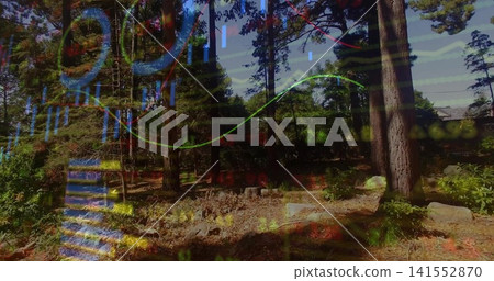 Showing pine clearing in forest displaying trunks, stumps, rocks and data overlay Showing pine clearing in forest displaying trunks, stumps, rocks and data overlay 141552870