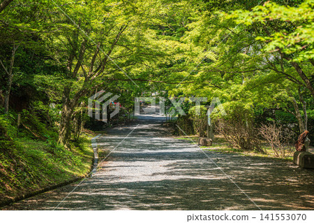 滋賀縣大津市三居寺（長良山圓成寺）的參道 141553070