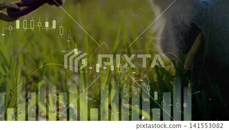 Showing small white pet peeking right on grass, with purple strap and finance charts, copy space Showing small white pet peeking right on grass, with purple strap and finance charts, copy space 141553082