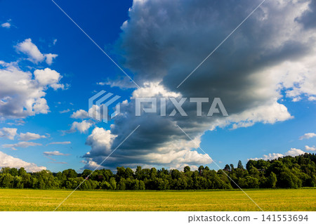 Dramatic cumulus clouds looming over a vast vibrant meadow, painting the sky with intense shades of blue and white, creating a breathtaking nature scene under a sunny summer light Dramatic cumulus clouds looming over a vast vibrant meadow, painting the sky with intense shades of blue and white, creating a breathtaking nature scene under a sunny summer light 141553694