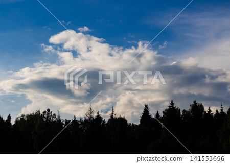 Fluffy white cumulus clouds drift across a vibrant blue sky above a dark silhouette of a dense coniferous forest, capturing a tranquil and peaceful summer afternoon atmosphere Fluffy white cumulus clouds drift across a vibrant blue sky above a dark silhouette of a dense coniferous forest, capturing a tranquil and peaceful summer afternoon atmosphere 141553696