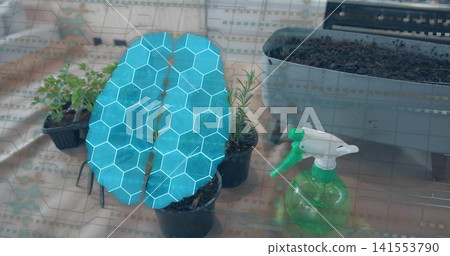 Highlighting central seedling wearing cyan brain graphic on tabletop, with black pots and spray Highlighting central seedling wearing cyan brain graphic on tabletop, with black pots and spray 141553790