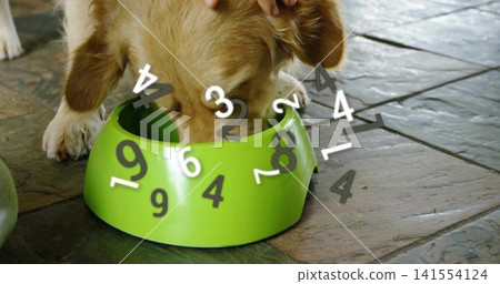 Eating golden dog lowering head into bright green bowl on dark tiles, hand resting, numeric overlay Eating golden dog lowering head into bright green bowl on dark tiles, hand resting, numeric overlay 141554124