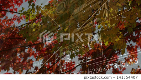 Showing autumn tree branches reflecting on shop window, showing ornate facade with numeric overlays 141554407