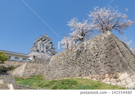Fukuyama Castle Keep in Spring, Fukuyama City, Hiroshima Prefecture Fukuyama Castle Keep in Spring, Fukuyama City, Hiroshima Prefecture 141554480