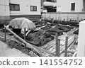 施工現場 141554752