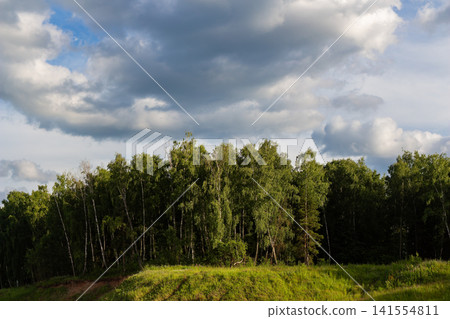 Lush green forest edge under a dramatic cloudy sky with soft summer sunlight illuminating the vibrant birch trees and grass on a peaceful countryside meadow Lush green forest edge under a dramatic cloudy sky with soft summer sunlight illuminating the vibrant birch trees and grass on a peaceful countryside meadow 141554811