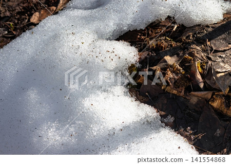 Sparkling spring snow melts under warm sun, revealing damp earth. Nature's vibrant transition to new beginnings Sparkling spring snow melts under warm sun, revealing damp earth. Nature's vibrant transition to new beginnings 141554868