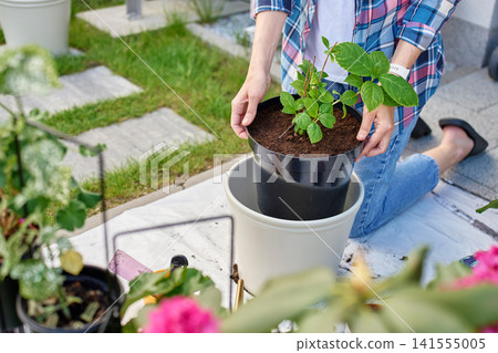 Woman repotting plant into larger pot while gardening on patio 141555005