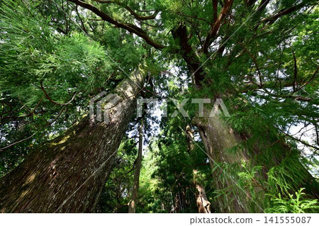 Kumano Kodo Kumano Kodo 141555087