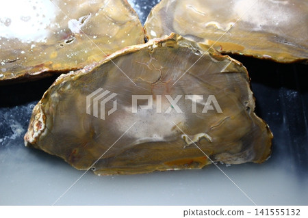 Raw flint concretion sliced into three distinct pieces revealing textured mineral patterns inside a workshop setting, showcasing the natural beauty of untreated stone mineralogy for geological studies 141555132