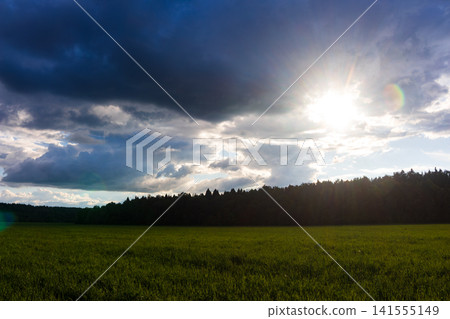 Radiant sun breaking through dramatic storm clouds above a lush green field and dark forest skyline, capturing an inspiring contrast between heavy weather and golden sunbeams illuminating nature Radiant sun breaking through dramatic storm clouds above a lush green field and dark forest skyline, capturing an inspiring contrast between heavy weather and golden sunbeams illuminating nature 141555149